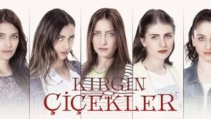 Kırgın Çiçekler: 1 x Episode 1 VOSTFR